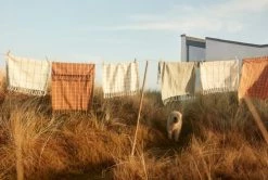 OYOY Living Design Tabliers Et Torchons Torchon Multicolore En Coton Biologique 70x50cm - Lot De 2 8 OYOY Living Design Tabliers Et Torchons Torchon Multicolore En Coton Biologique 70x50cm - Lot De 2 -Tabliers et torchons Soldes torchon multicolore en coton biologique 70x50cm lot de 2 2